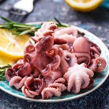 Baby Octopus