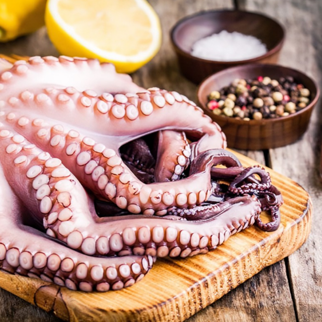 Octopus large (random weight)