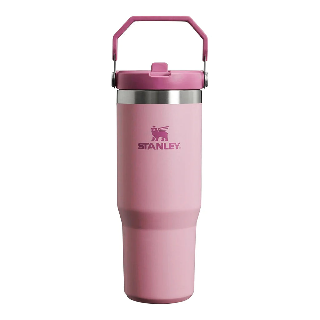 Stanley Classic IceFlow Flip Straw Tumbler 30oz