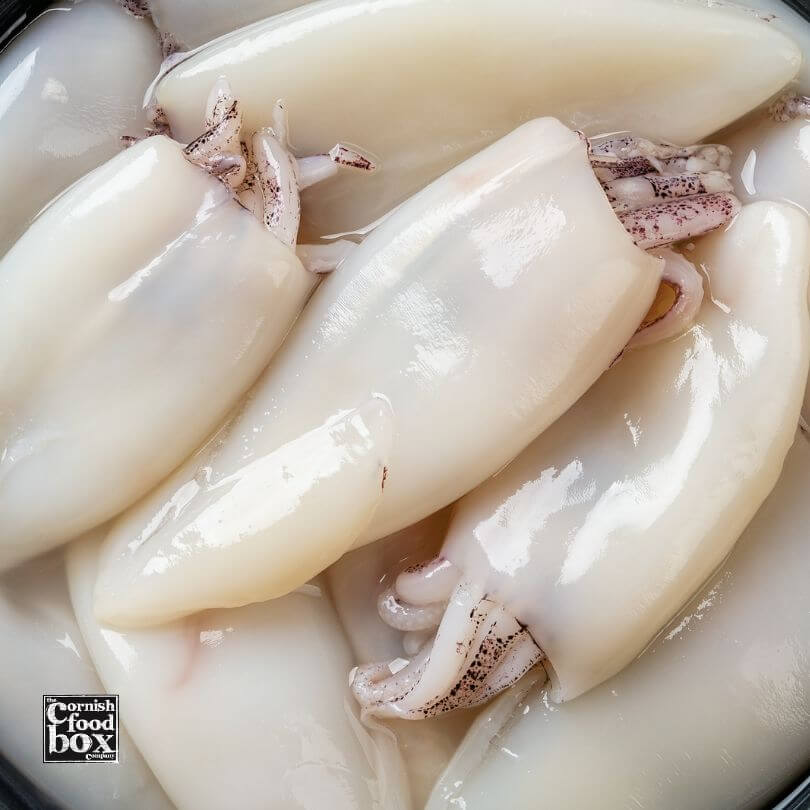 Squid Fish 1Kg